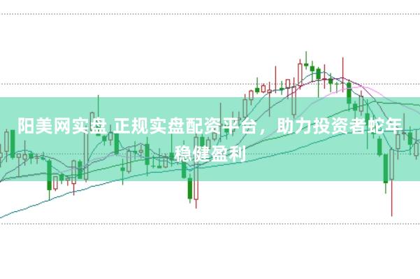阳美网实盘 正规实盘配资平台，助力投资者蛇年稳健盈利