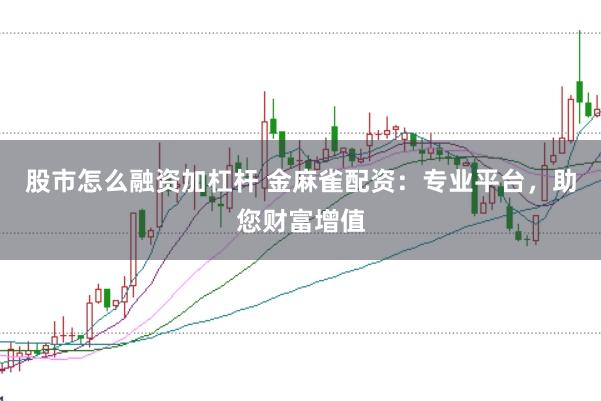 股市怎么融资加杠杆 金麻雀配资：专业平台，助您财富增值