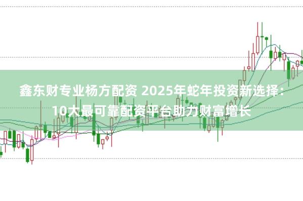 鑫东财专业杨方配资 2025年蛇年投资新选择：10大最可靠配资平台助力财富增长
