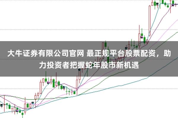 大牛证券有限公司官网 最正规平台股票配资，助力投资者把握蛇年股市新机遇