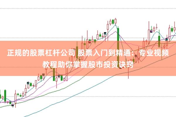 正规的股票杠杆公司 股票入门到精通：专业视频教程助你掌握股市投资诀窍