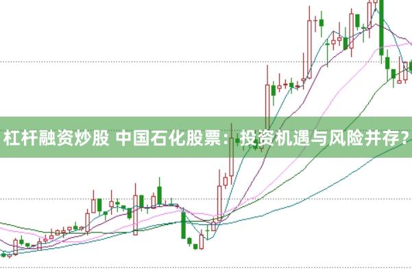 杠杆融资炒股 中国石化股票：投资机遇与风险并存？