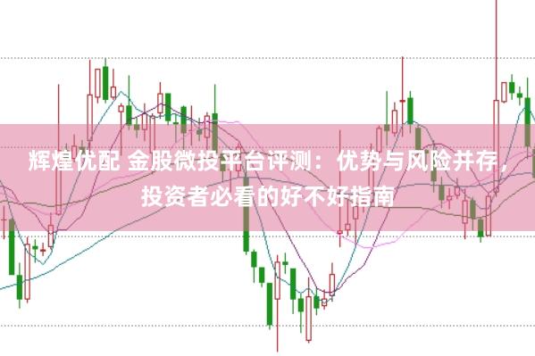辉煌优配 金股微投平台评测：优势与风险并存，投资者必看的好不好指南