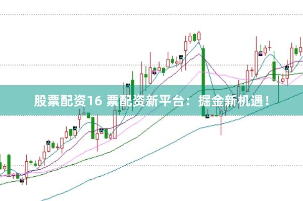 股票配资16 票配资新平台：掘金新机遇！