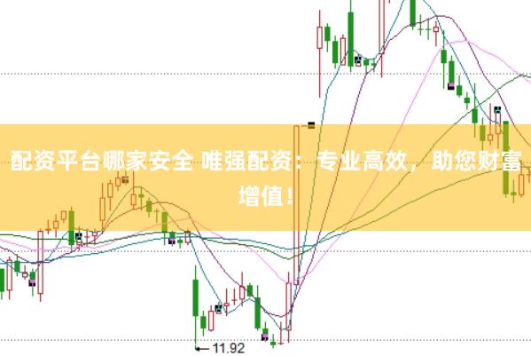 配资平台哪家安全 唯强配资：专业高效，助您财富增值！