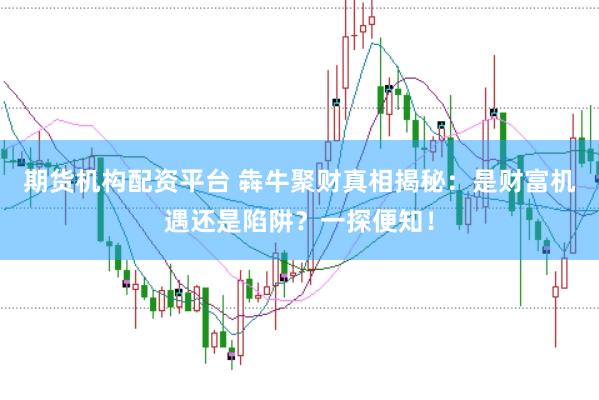 期货机构配资平台 犇牛聚财真相揭秘：是财富机遇还是陷阱？一探便知！