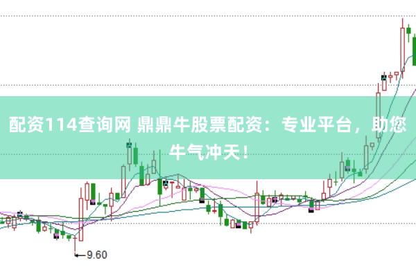 配资114查询网 鼎鼎牛股票配资：专业平台，助您牛气冲天！