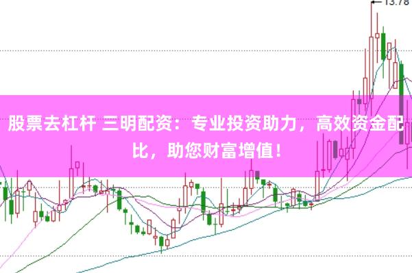 股票去杠杆 三明配资：专业投资助力，高效资金配比，助您财富增值！
