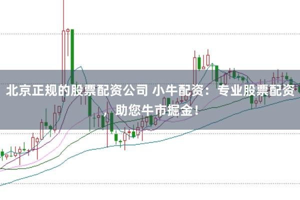 北京正规的股票配资公司 小牛配资：专业股票配资，助您牛市掘金！