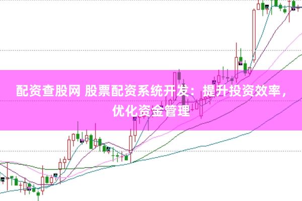 配资查股网 股票配资系统开发：提升投资效率，优化资金管理