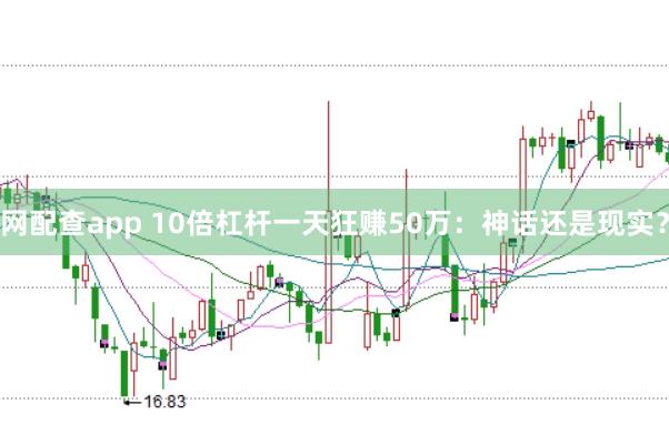 网配查app 10倍杠杆一天狂赚50万：神话还是现实？
