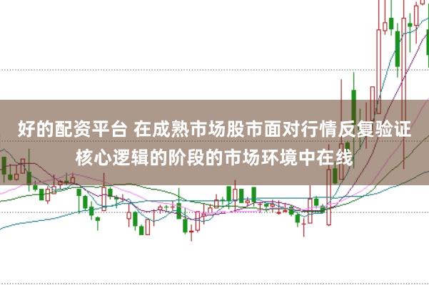 好的配资平台 在成熟市场股市面对行情反复验证核心逻辑的阶段的市场环境中在线