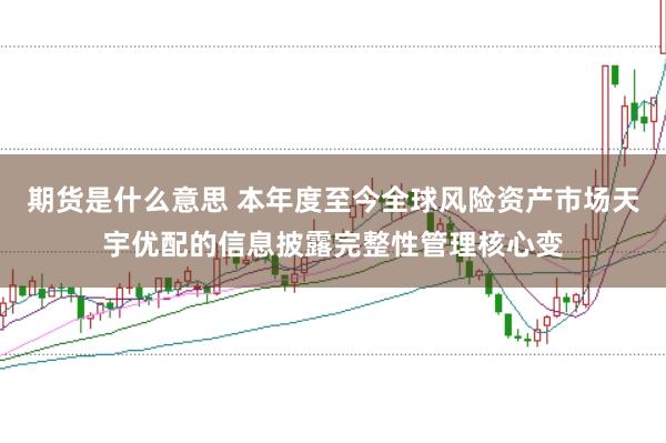 期货是什么意思 本年度至今全球风险资产市场天宇优配的信息披露完整性管理核心变