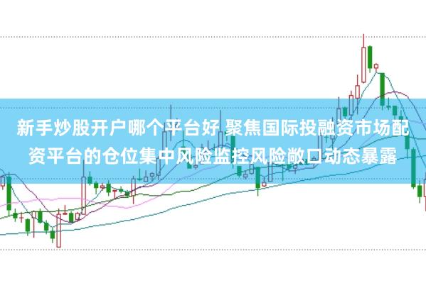 新手炒股开户哪个平台好 聚焦国际投融资市场配资平台的仓位集中风险监控风险敞口动态暴露