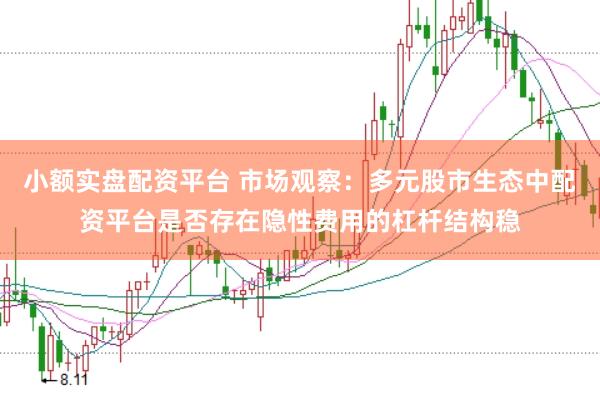 小额实盘配资平台 市场观察：多元股市生态中配资平台是否存在隐性费用的杠杆结构稳