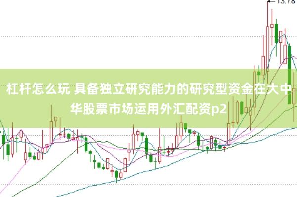 杠杆怎么玩 具备独立研究能力的研究型资金在大中华股票市场运用外汇配资p2