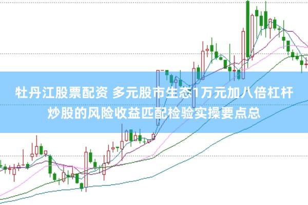 牡丹江股票配资 多元股市生态1万元加八倍杠杆炒股的风险收益匹配检验实操要点总