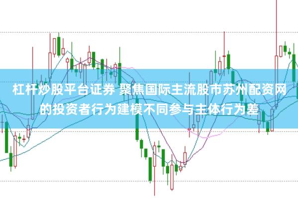杠杆炒股平台证券 聚焦国际主流股市苏州配资网的投资者行为建模不同参与主体行为差