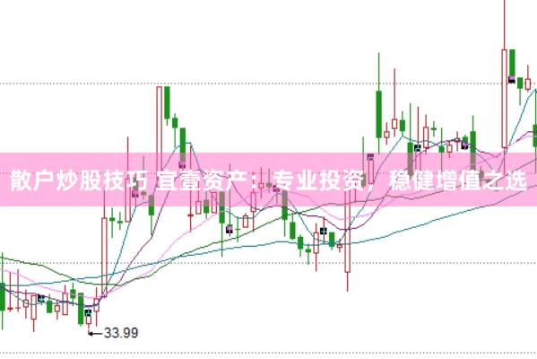 散户炒股技巧 宜壹资产：专业投资，稳健增值之选